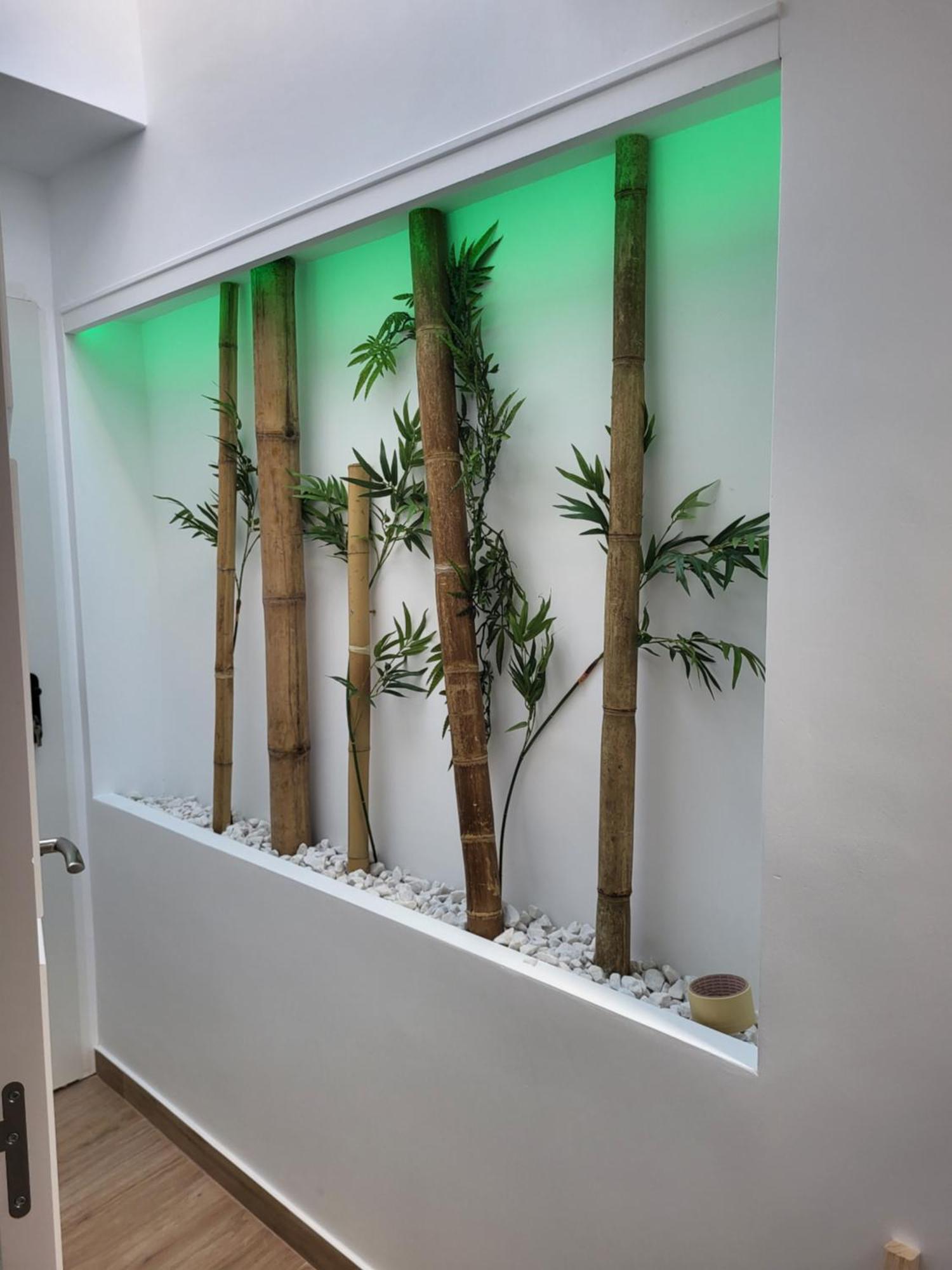 Appartement Coral